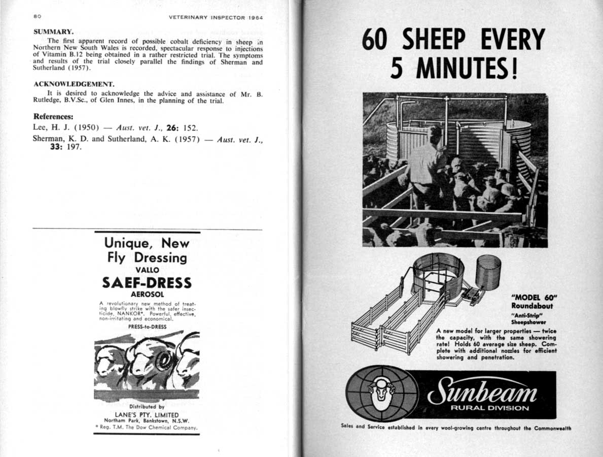 1964 Page 80